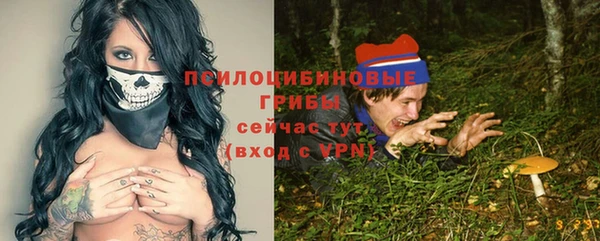 первитин Лиски