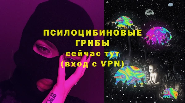 первитин Лиски