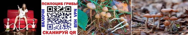 blacksprut вход  Новокузнецк  Галлюциногенные грибы Magic Shrooms 