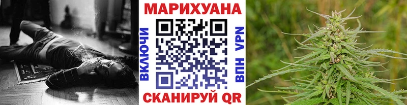 что такое   Новокузнецк  Марихуана сатива 